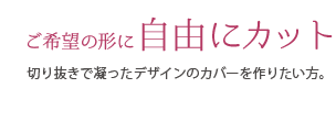 ]̌`ɎRɃJbg